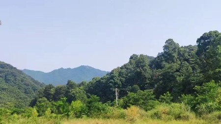 成都屢發(fā)高溫預(yù)警，成都萬(wàn)全電子依然堅(jiān)守在安裝第一線