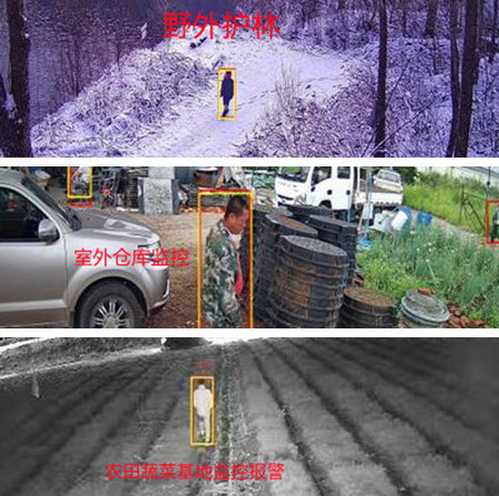 無電無網(wǎng)少人煙的野外，還想裝監(jiān)控系統(tǒng)？這不是空想