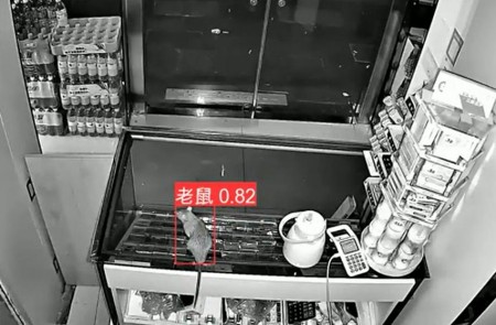 AI智能監(jiān)控算法推出新算法，老鼠再也無(wú)處可逃