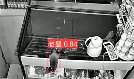 AI視頻監(jiān)控能拍到老鼠？老鼠監(jiān)控算法說(shuō)可以