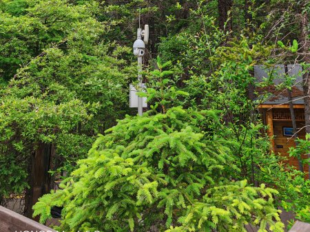 夏季來臨，AI視頻監(jiān)控新防下水算法解決管理難題