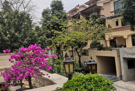 小區(qū)屢被&ldquo;光顧&rdquo;，居家安全小區(qū)安防請(qǐng)多加重視