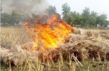 AI視頻監(jiān)控系統(tǒng)|AI監(jiān)控報警系統(tǒng)|農村安防|AI算法|防下水算法|火焰識別算法|防翻越算法